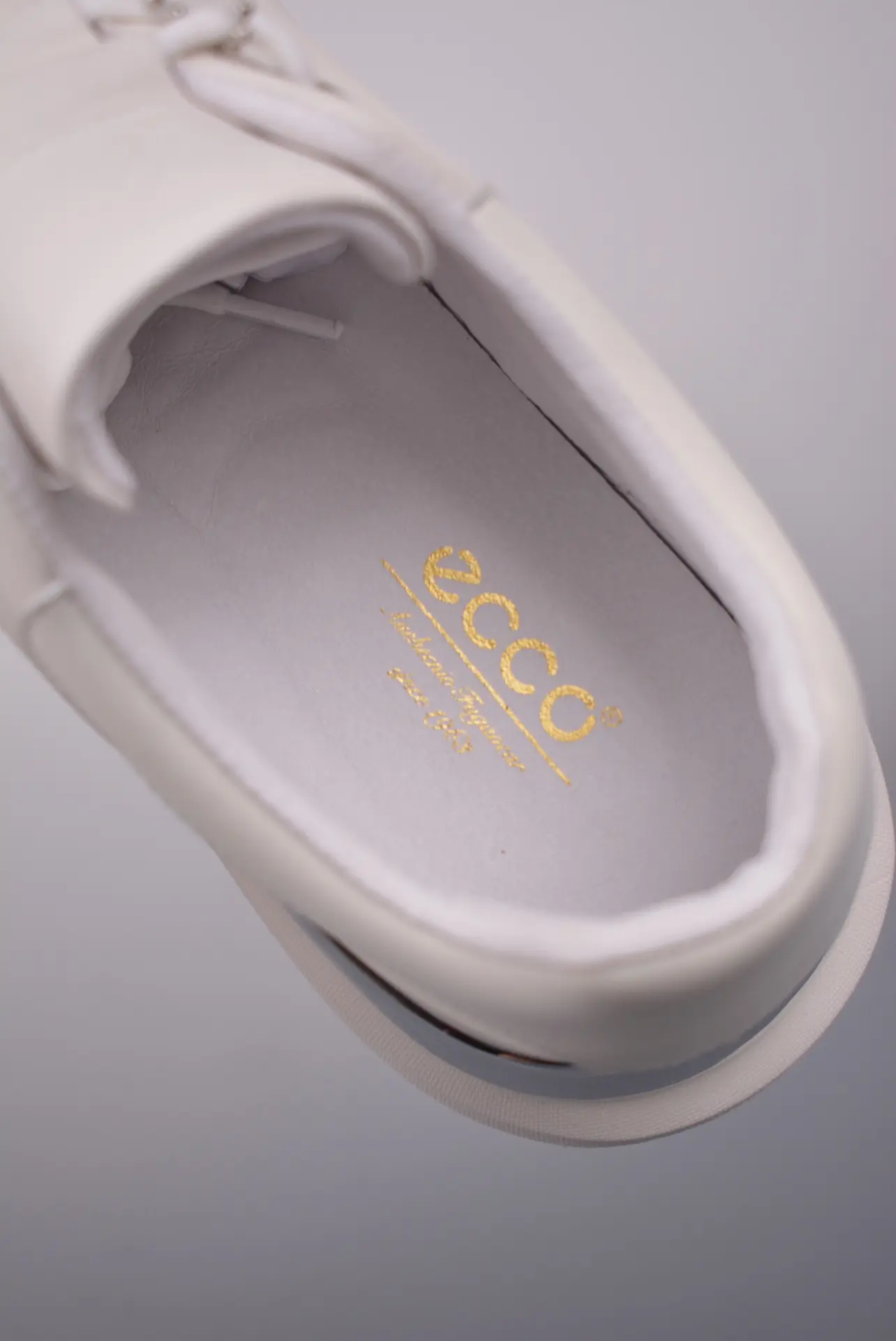 The Rise of Replica ECCO and Casual Sport Shoes in 2024 | YtaYta