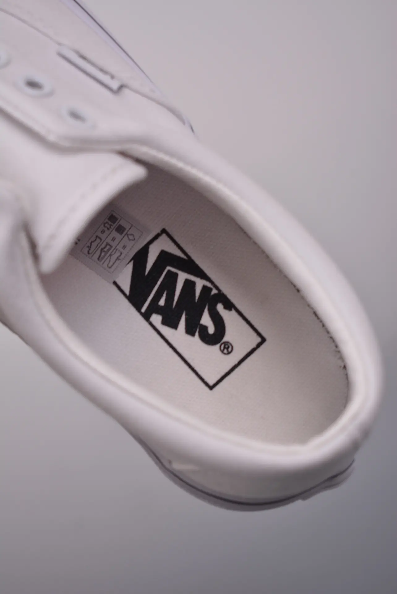 Vans Era True White: A Comprehensive Review and Comparison | YtaYta